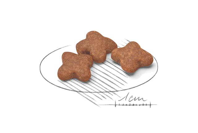 Royal Canin Dog Food Mini Adult 8+ - Image 2