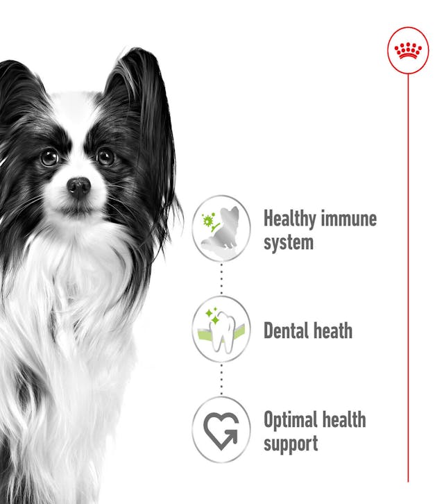 Royal Canin X-Small Adult 1.5kg - Image 3