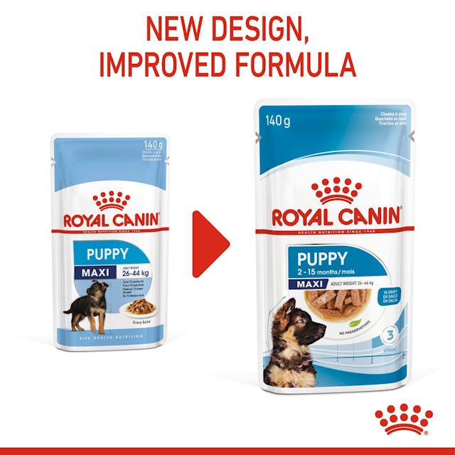 Royal Canin Maxi Puppy Chunks In Gravy, 140g x 10 Pack - Image 4