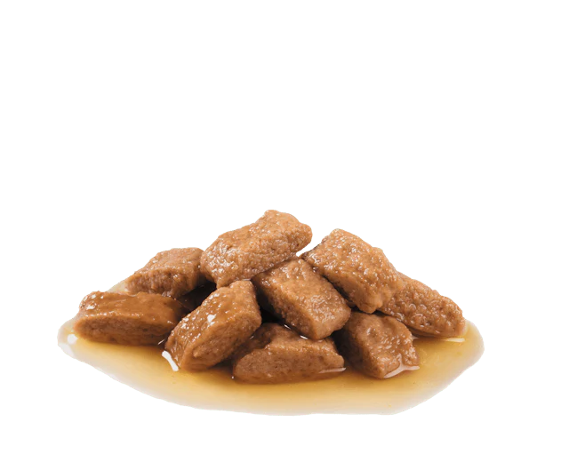 Royal Canin Medium Ageing 10+ Chunks In Gravy, 140g x 10 Pack - Image 2