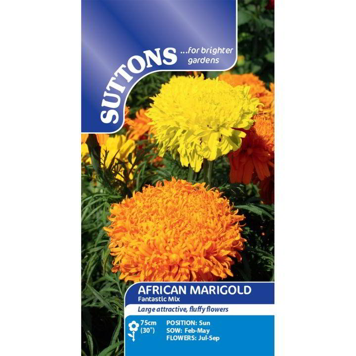 African Marigold Fantastic Mix Flower Seeds - Image 2