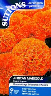 African Marigold Space Hopper Flower Seeds - Image 2