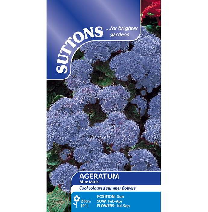 Ageratum 'Blue Mink' - Seeds - Image 2