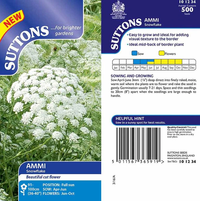 Ammi 'Snowflake' - Seeds