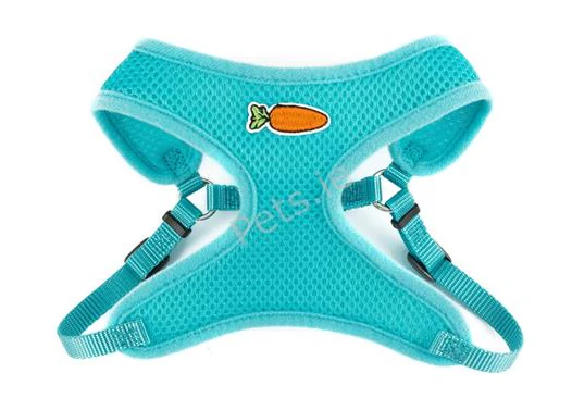 Ancol Small Animal Mesh Harness and Lead - Large - Teal