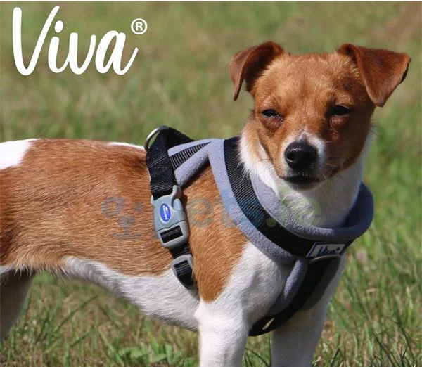 Ancol Viva - Padded Dog Harness - Black - Image 2