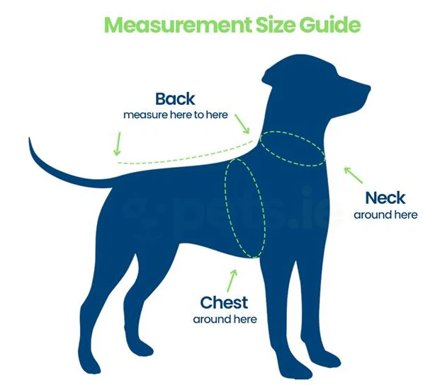 Ancol Viva - Padded Dog Harness - Blue - Image 3