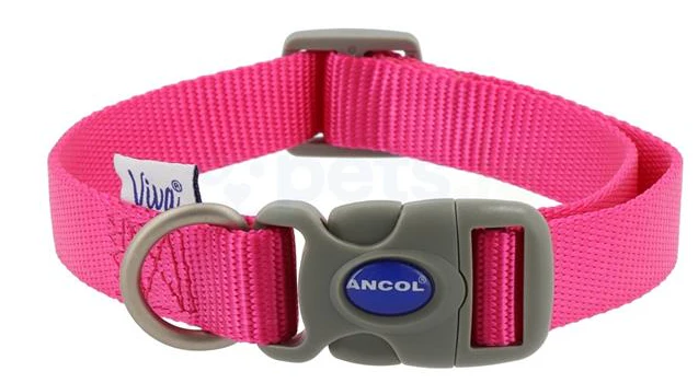 Ancol Viva Raspberry Adjustable Dog Collar