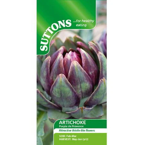 Artichoke 'Purple de Provence' - Seeds - Image 4