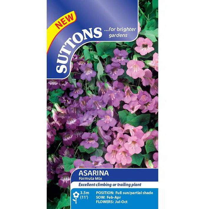 Asarina 'Formula Mix' - Seeds - Image 2