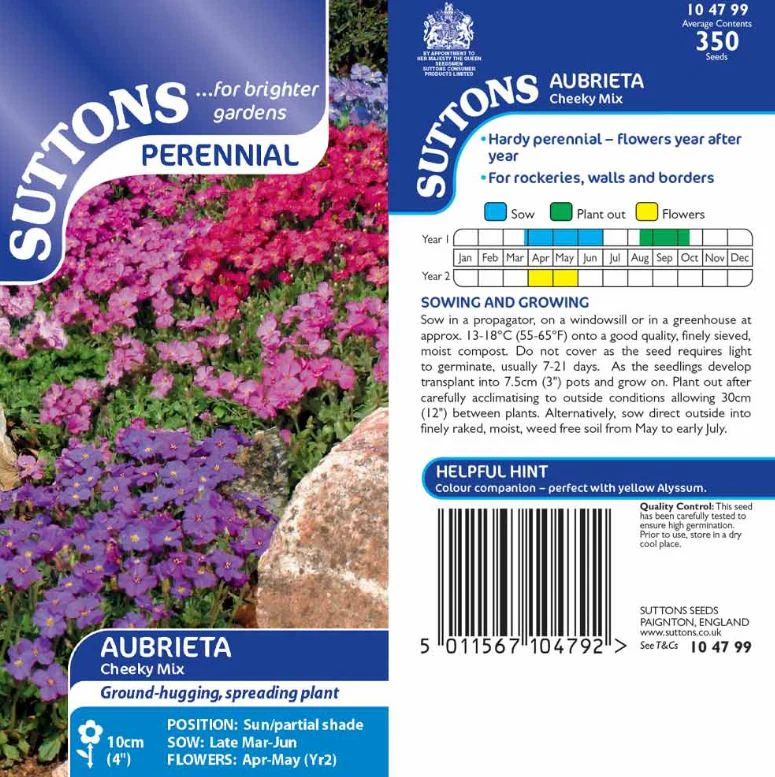 Aubrieta 'Cheeky Mix' - Seeds - Image 3