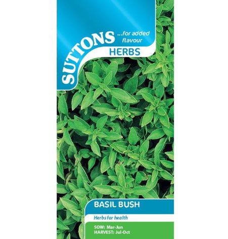 Basil Bush - Herb Seeds - Image 2