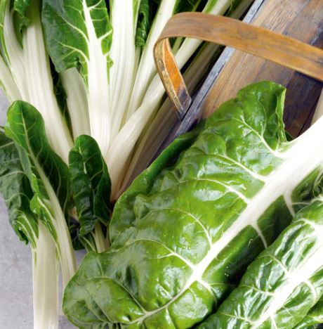 Beet (Leaf) 'Silver or Sea Kale' - Seeds