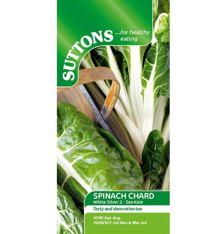 Beet (Leaf) 'Silver or Sea Kale' - Seeds - Image 2