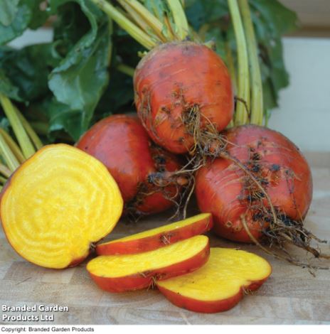 Beetroot F1 'Boldor' - Seeds - Image 6