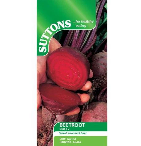 Beetroot 'Globe 2' - Seeds - Image 2