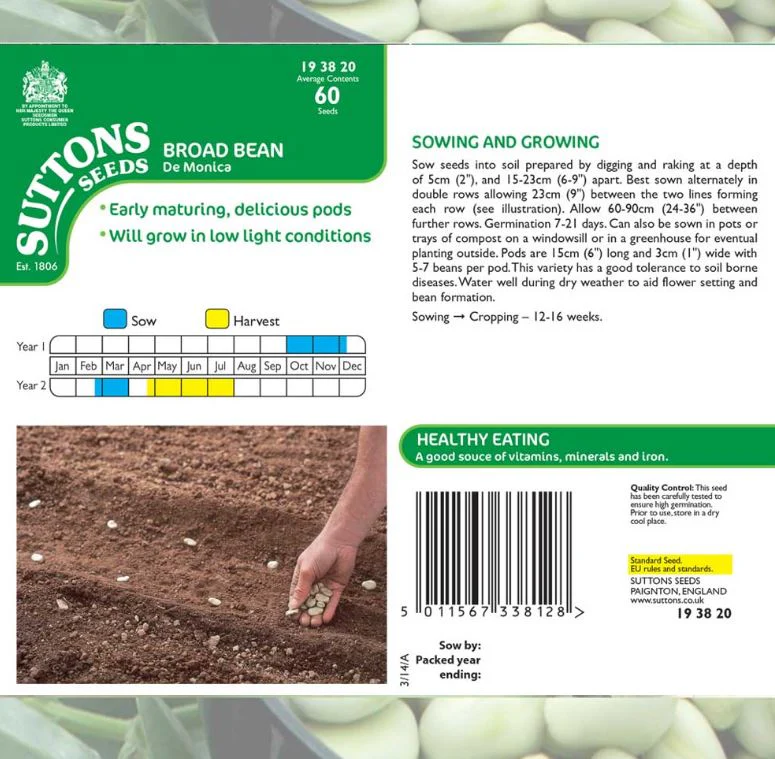 Broad Bean 'De Monica' - Seeds - Image 2