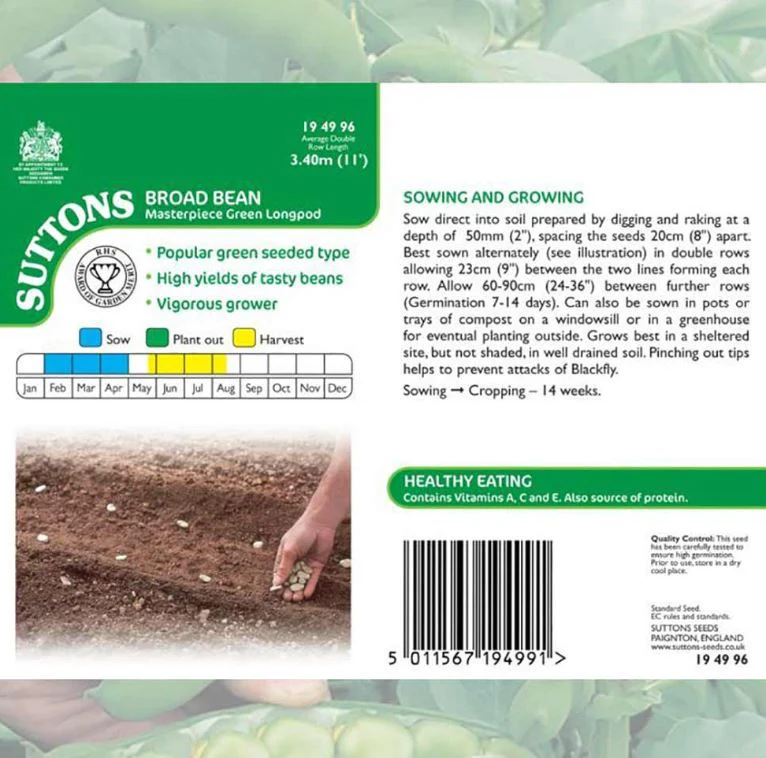 Broad Bean 'Masterpiece Green Longpod' - Seeds - Image 4