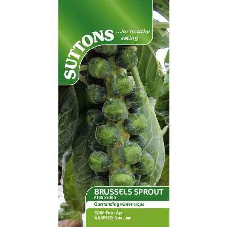 Brussels Sprout F1 'Brenden' - Seeds - Image 2