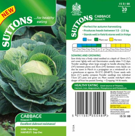 Cabbage F1 'Kilazol' - Seeds - Image 2