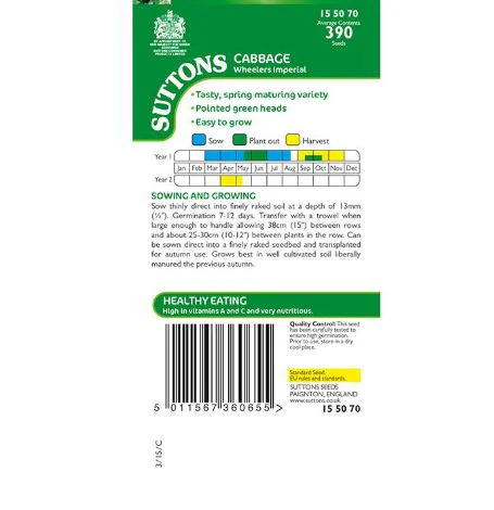 Cabbage F1 'Kilazol' - Seeds - Image 3