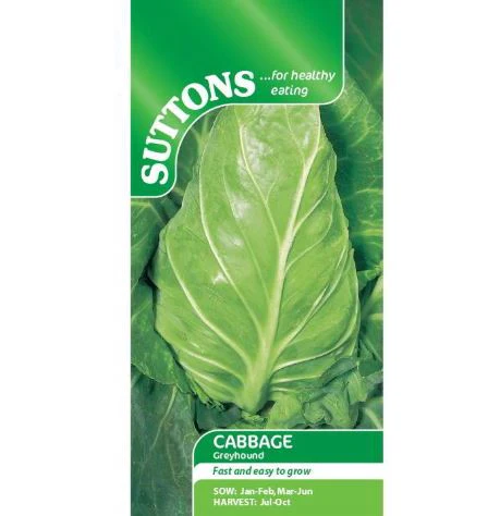 Cabbage 'Greyhound' - Seeds