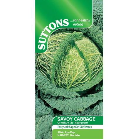 Cabbage (Savoy) 'Ormskirk (1) Rearguard' - Seeds - Image 2