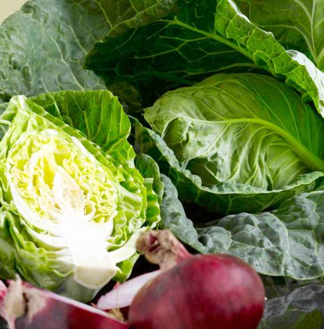 Cabbage 'Wheelers Imperial' - Seeds