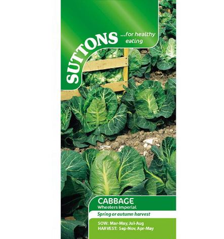 Cabbage 'Wheelers Imperial' - Seeds - Image 2