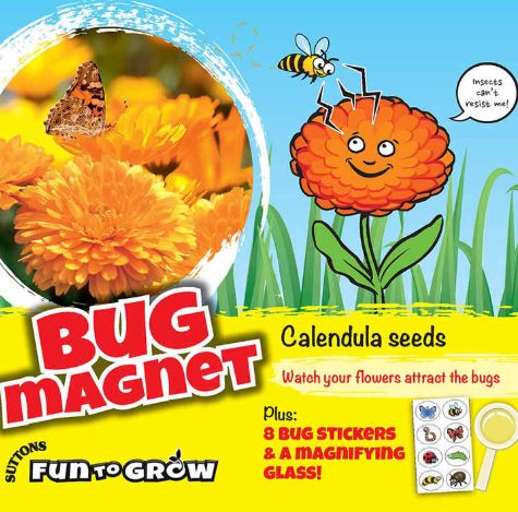 Calendula 'Bug Magnet (Daisy Mix)' - Seeds