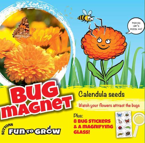 Calendula 'Bug Magnet (Daisy Mix)' - Seeds - Image 2