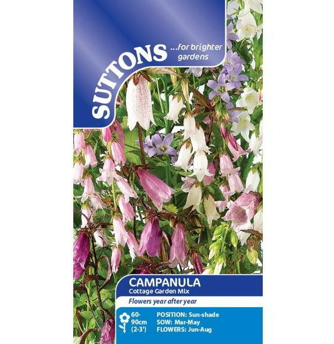 Campanula 'Cottage Garden Mix' - Seeds - Image 2