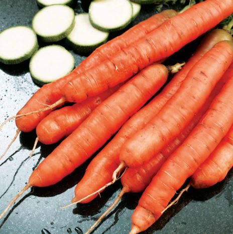 Carrot 'Amsterdam Forcing 3' - Seeds - Image 2