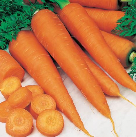 Carrot 'St. Valery' - Seeds