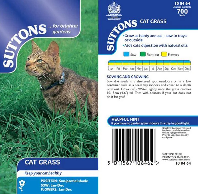 Cat Grass - Seeds - Image 2
