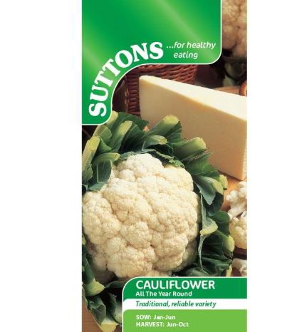 Cauliflower 'All The Year Round' - Seeds - Image 2