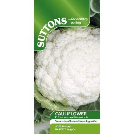 Cauliflower F1 'Successional Harvest Mix' - Seeds - Image 3