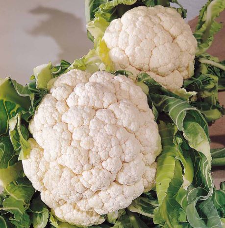 Cauliflower 'Snowball A' - Seeds