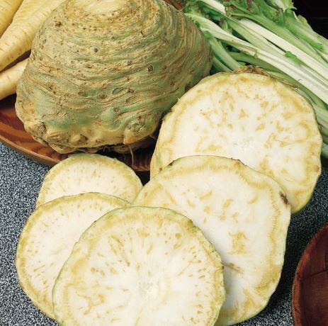 Celeriac 'Monarch' - Seeds