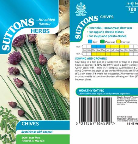 Chives - Herb Seeds - Image 4