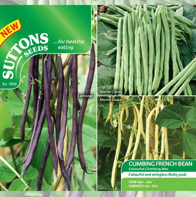 Climbing French Bean 'Colourful Climbing Mix' - Seeds