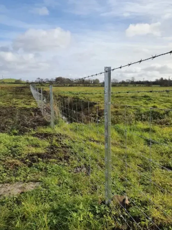 Clipex Eco Post 1.8m  10 Clip Sheep Post - Image 2