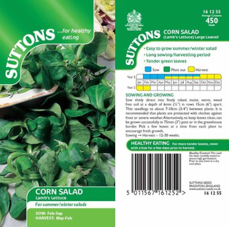 Corn Salad 'Lambs Lettuce' - Seeds - Image 2
