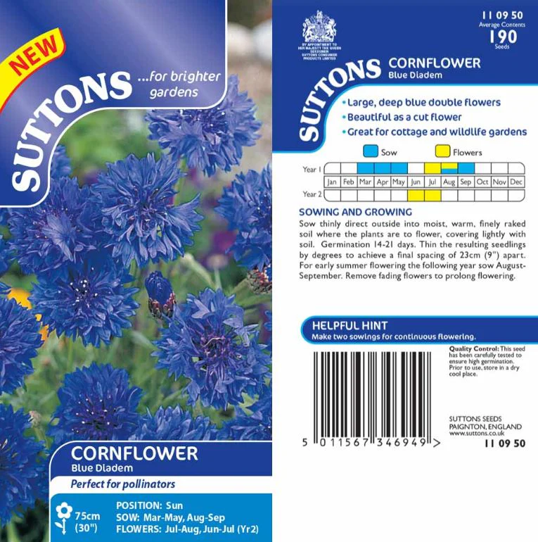 Cornflower 'Blue Diadem' - Seeds - Image 3