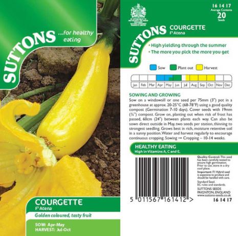 Courgette F1 'Atena' - Seeds - Image 3