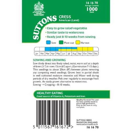Cress 'American (Land)' - Seeds - Image 3