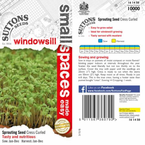 Cress 'Curled' - Seeds - Image 2