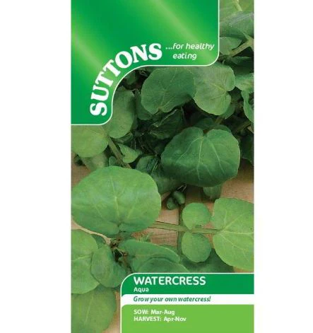 Cress 'Watercress Aqua' - Seeds - Image 2