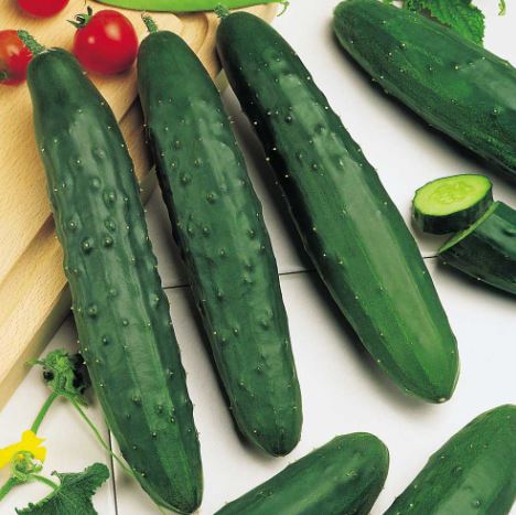Cucumber 'Marketmore' - Seeds - Image 2