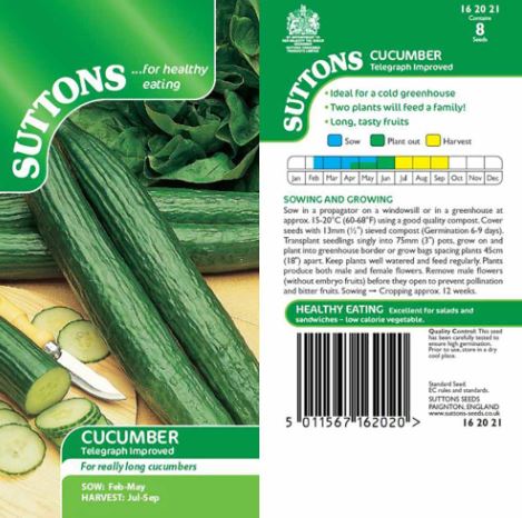 Cucumber 'Telegraph Improved' - Seeds - Image 3